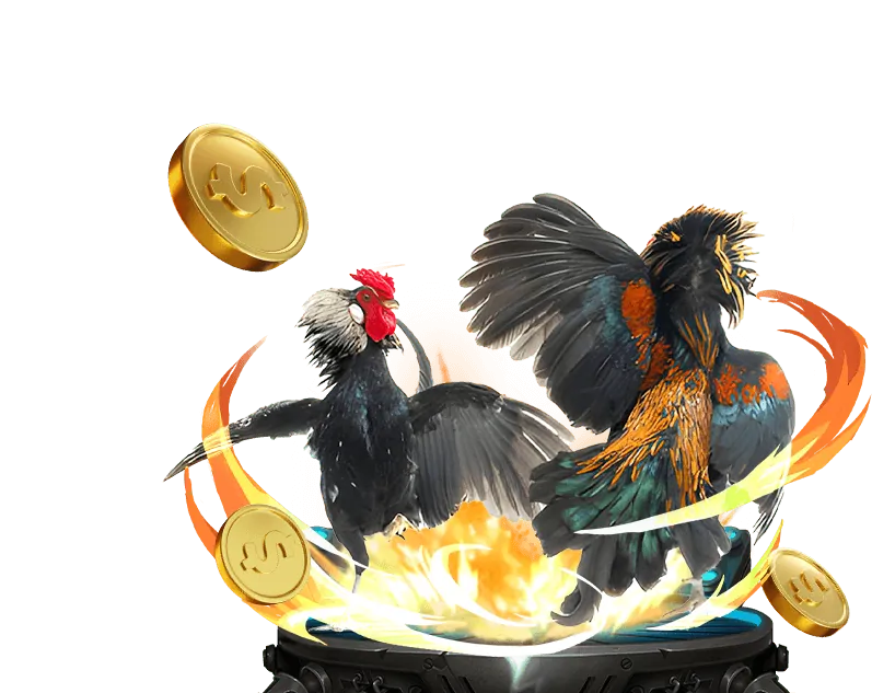 Đá gà trực tiếp zv99